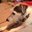 Kay Craigie's profile image