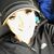 Tammy Bray Dirksen's profile image