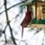 Cheryl Malsch De Mars's profile image