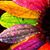 Dixie Daisy's profile image