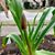 Janice Touzinsky Heiskell's profile image