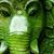 Nannergy's profile image