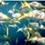 Denice Lingle's profile image