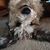 Sheila Kearney's profile image