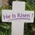 Mary Hulse Garvin's profile image