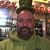 Rob Phibbs's profile image