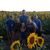 Lynn Kennedy Mork's profile image