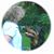 Judy Williams's profile image