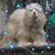 Joshua Redmon's profile image