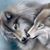 Lobito Martinez's profile image