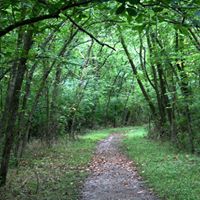 Tommy Alden's profile image