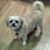 Shirley Cashero's profile image