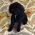 Jill Slavin's profile image
