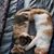 Sharon Reed's profile image