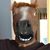 Brandon Subach's profile image