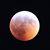 Andrew Schnellinger's profile image