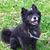 Diane Kerns Medlin's profile image