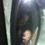 Brian Fredricks's profile image