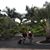 Ayah Dharma Satria Yudhistira's profile image