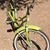 Diane Renee Bibee's profile image