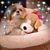 Marybeth Nissen Havrilla's profile image