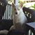 Wayne Marchek's profile image