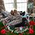 Donna Howe Corona's profile image