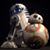 David Cunningham's profile image