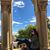 Patti Sinclair's profile image