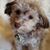 Darla Gwartney's profile image