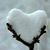 Susan Ingham Gaeta's profile image