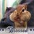 Kathy Newman-Fekete's profile image