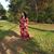 Stephanie Adams's profile image