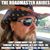 Joe Butrim's profile image