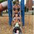 Sandy Gray's profile image