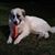 Buster Doc's profile image