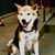 Mariska Leyssius's profile image