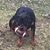 Merissa Schmitt's profile image