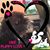 Mindy Flickinger's profile image
