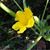 Jose Santos Haro's profile image