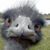 Davalynn Tietgen's profile image