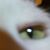 Katherine Mulhern's profile image