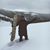 Braden McGlone's profile image