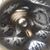 Terri Sandefur Minton's profile image