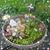 Sandra Hamann's profile image