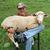 Donny Douglas's profile image