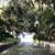 Lynnann Marie Sell's profile image