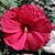 Robin Dawn Fletcher Kern's profile image
