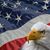 Baldie Eagle's profile image