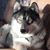Debbie Carter Anderson's profile image